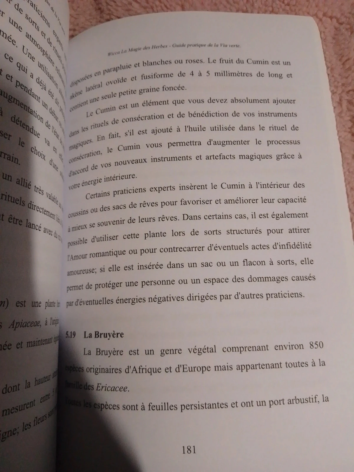Wicca a magia das ervas volume 2 – photo 11